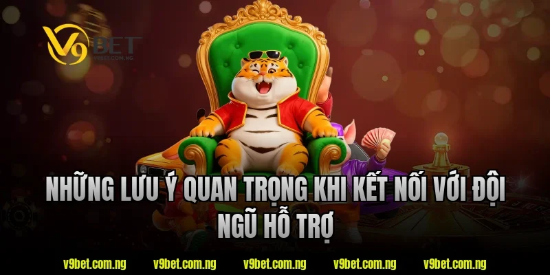 Những lưu ý quan trọng khi kết nối với đội ngũ hỗ trợ